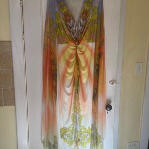 Elegant Multicolor Sheer Dress